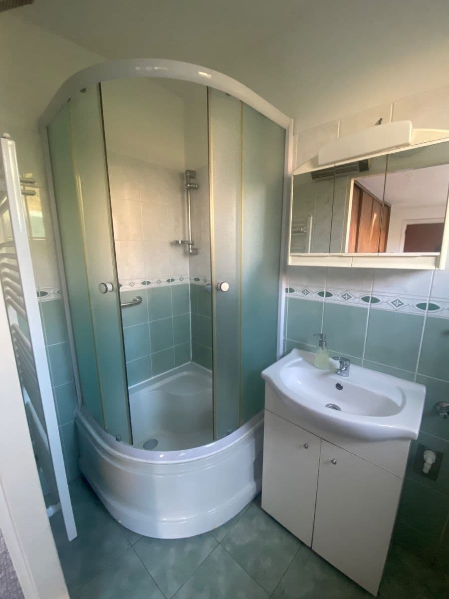 house to rent, 175 m², Na Vysočanských vinicích, Prague, Prague house to rent, 175 m², Na Vysočanských vinicích, Prague, Prague