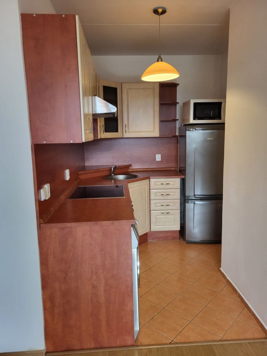 1 bedroom with open-plan kitchen flat to rent, 43 m², Radimovická, Prague, Prague 1 bedroom with open-plan kitchen flat to rent, 43 m², Radimovická, Prague, Prague