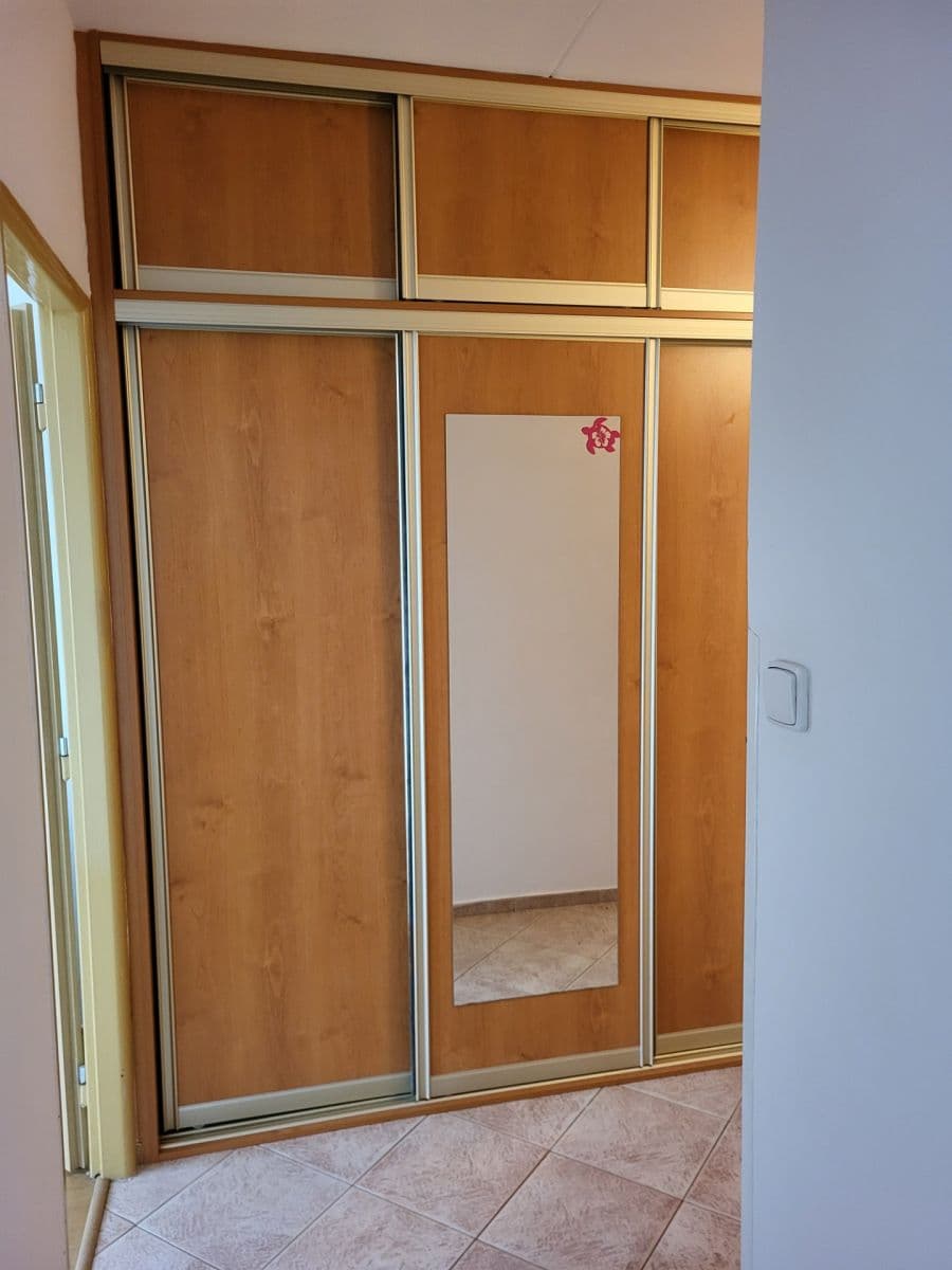 1 bedroom with open-plan kitchen flat to rent, 43 m², Radimovická, Prague, Prague 1 bedroom with open-plan kitchen flat to rent, 43 m², Radimovická, Prague, Prague