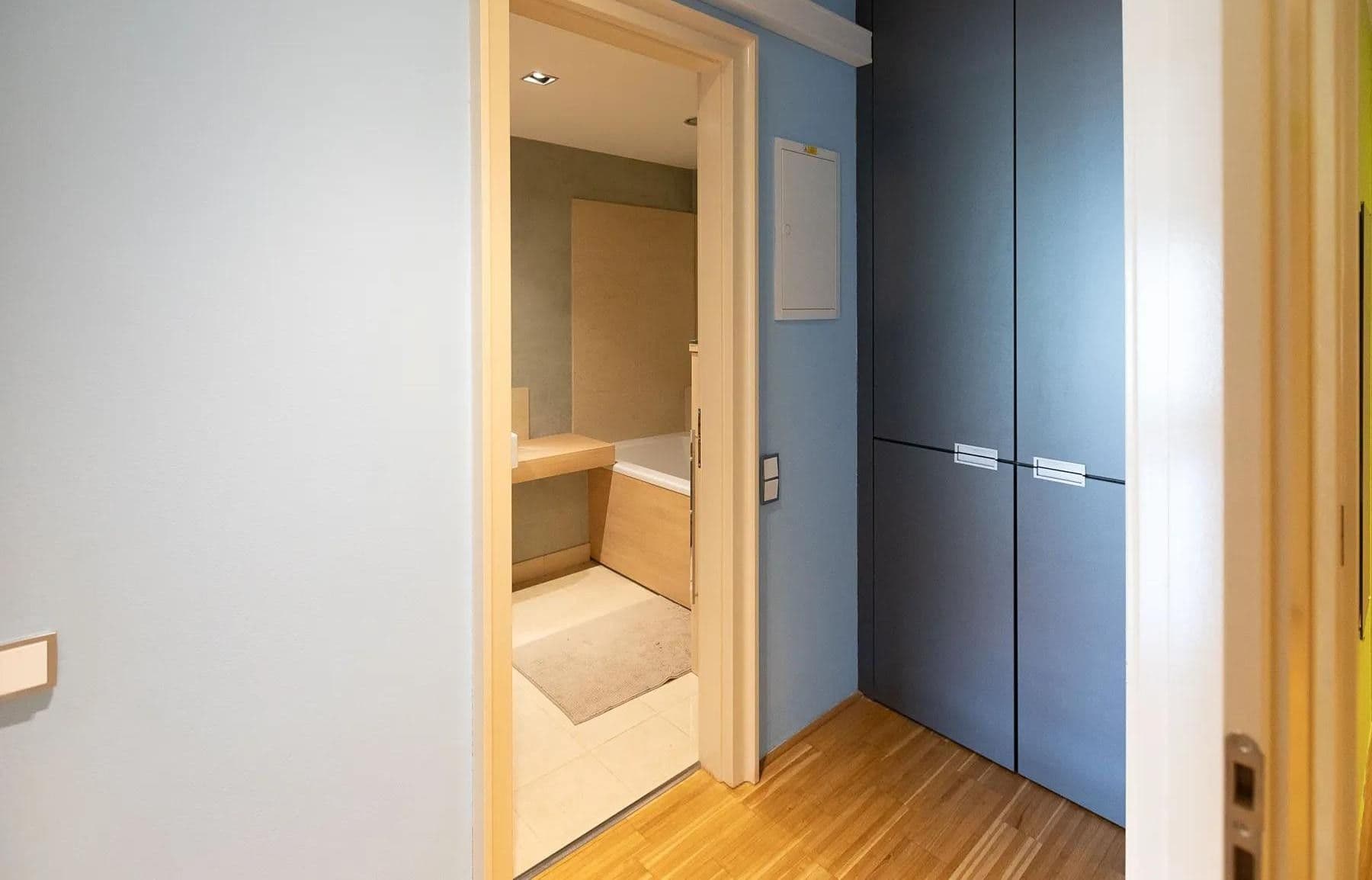 1 bedroom with open-plan kitchen flat to rent, 80 m², Rohanské nábřeží, Prague, Prague 1 bedroom with open-plan kitchen flat to rent, 80 m², Rohanské nábřeží, Prague, Prague