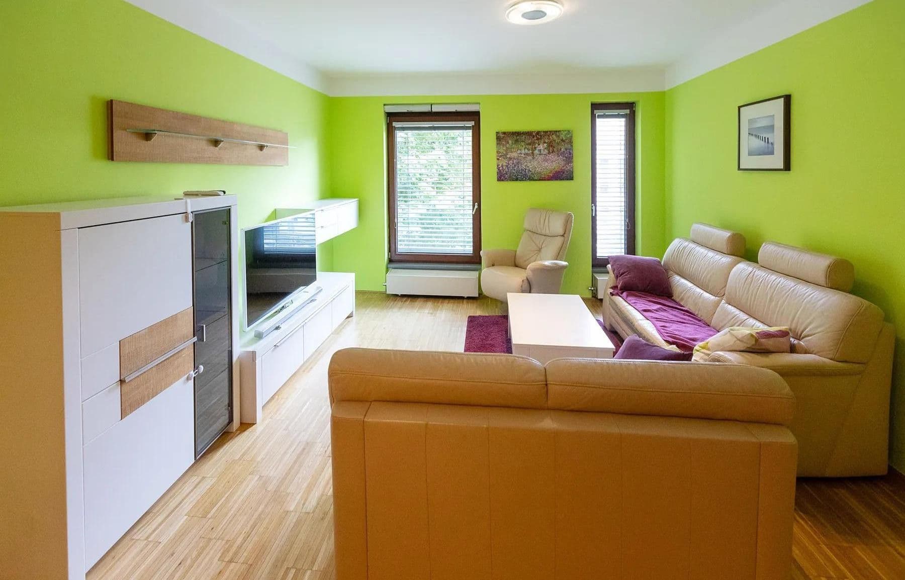 1 bedroom with open-plan kitchen flat to rent, 80 m², Rohanské nábřeží, Prague, Prague 1 bedroom with open-plan kitchen flat to rent, 80 m², Rohanské nábřeží, Prague, Prague