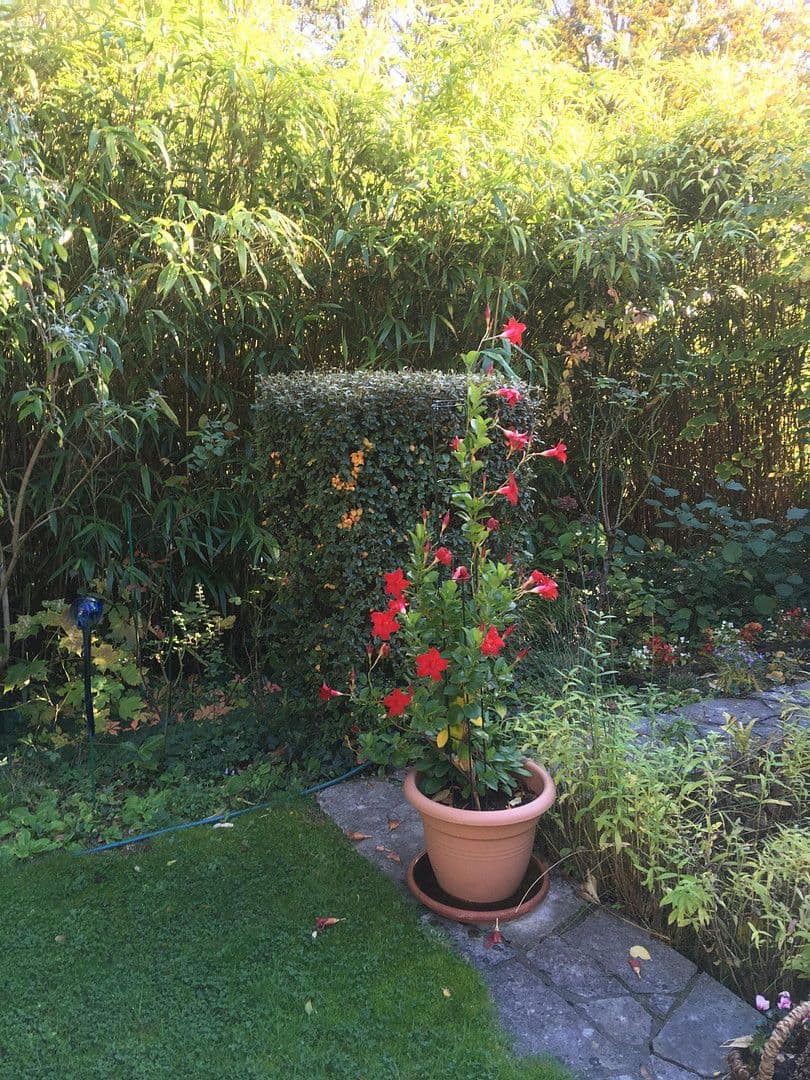 house for sale, 365 m², Saarbrücken, Saarland house for sale, 365 m², Saarbrücken, Saarland