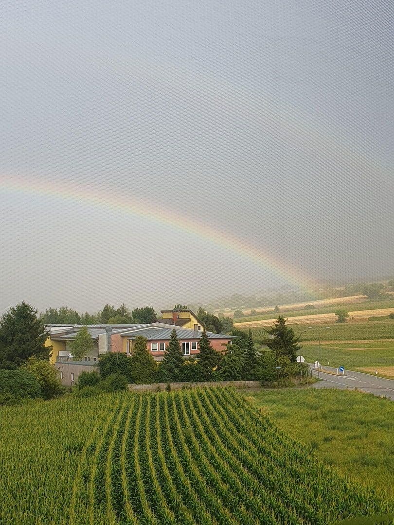 4 bedroom flat for sale, 85 m², Freundorf, Lower Austria 4 bedroom flat for sale, 85 m², Freundorf, Lower Austria