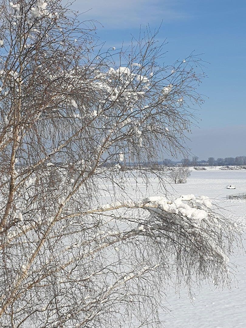 4 bedroom flat for sale, 85 m², Freundorf, Lower Austria 4 bedroom flat for sale, 85 m², Freundorf, Lower Austria