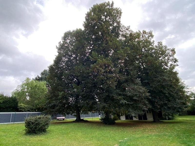 house for sale, 900 m², Weetzer Kirchweg 6, Ronnenberg, Lower Saxony house for sale, 900 m², Weetzer Kirchweg 6, Ronnenberg, Lower Saxony