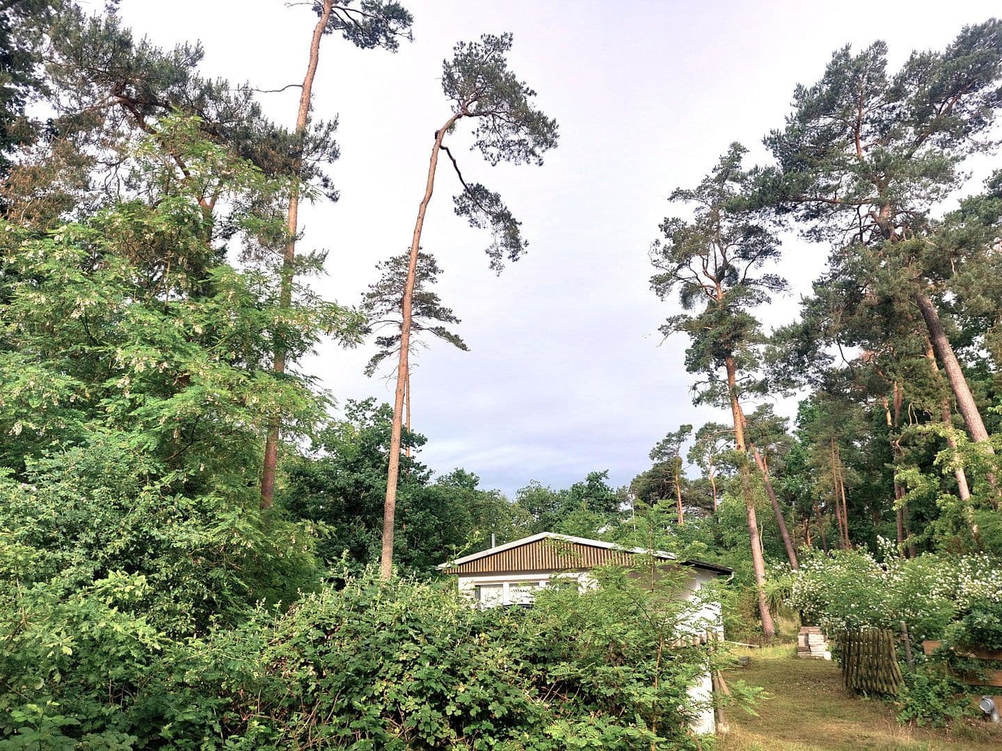 plot for sale, 6,217 m², Rathenow, Brandenburg plot for sale, 6,217 m², Rathenow, Brandenburg