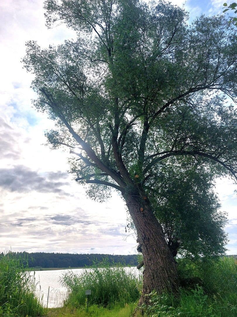 plot for sale, 6,217 m², Rathenow, Brandenburg plot for sale, 6,217 m², Rathenow, Brandenburg