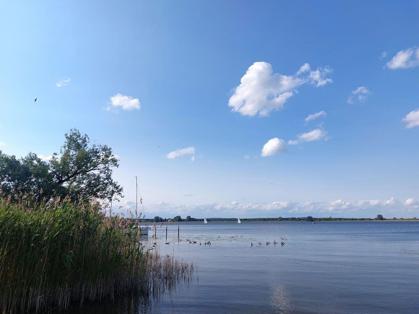 plot for sale, 6,217 m², Rathenow, Brandenburg plot for sale, 6,217 m², Rathenow, Brandenburg