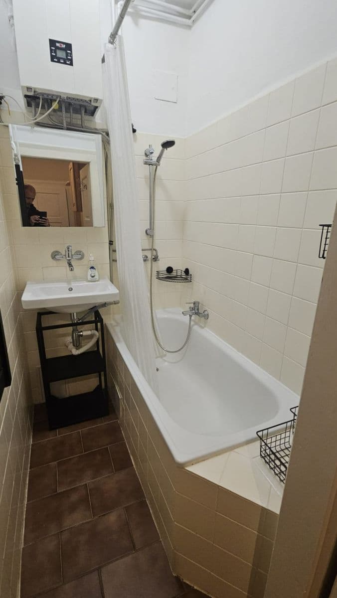 1 bedroom with open-plan kitchen flat to rent, 51 m², Čechova, Plzeň, Plzeňský Region 1 bedroom with open-plan kitchen flat to rent, 51 m², Čechova, Plzeň, Plzeňský Region