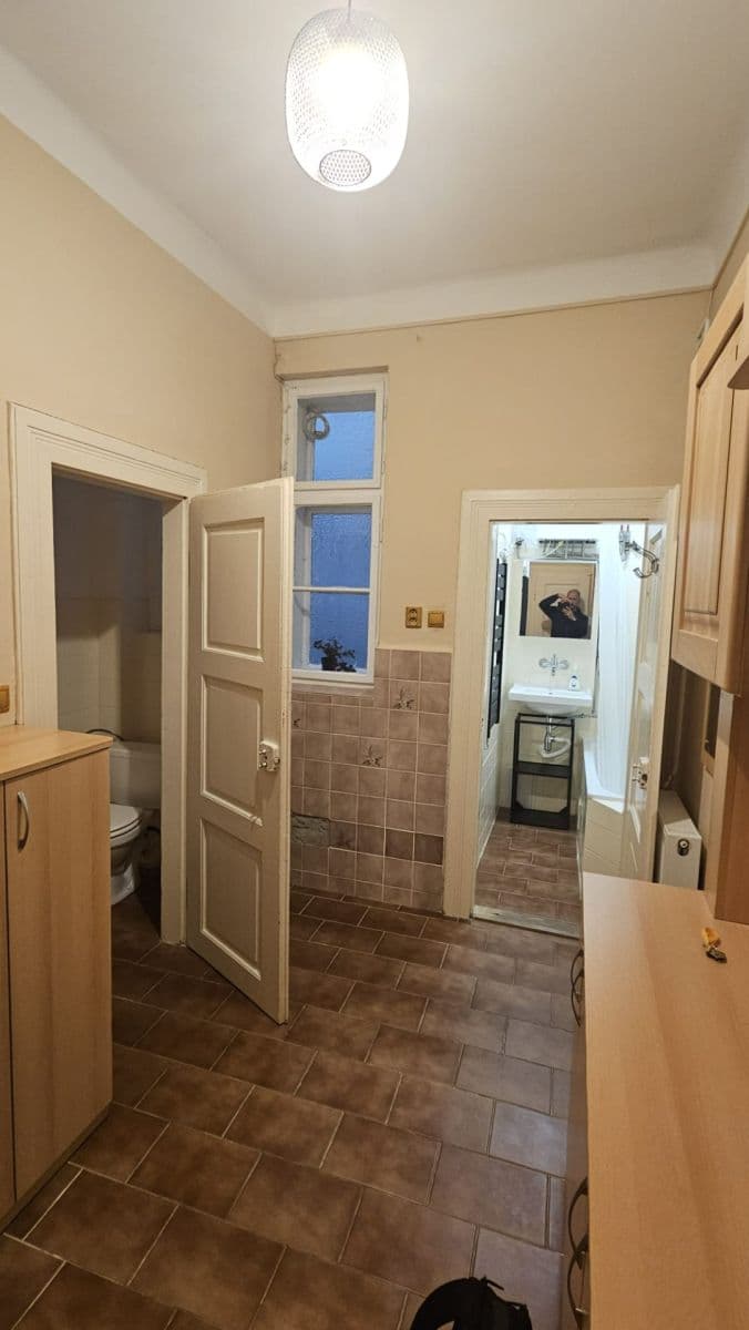 1 bedroom with open-plan kitchen flat to rent, 51 m², Čechova, Plzeň, Plzeňský Region 1 bedroom with open-plan kitchen flat to rent, 51 m², Čechova, Plzeň, Plzeňský Region