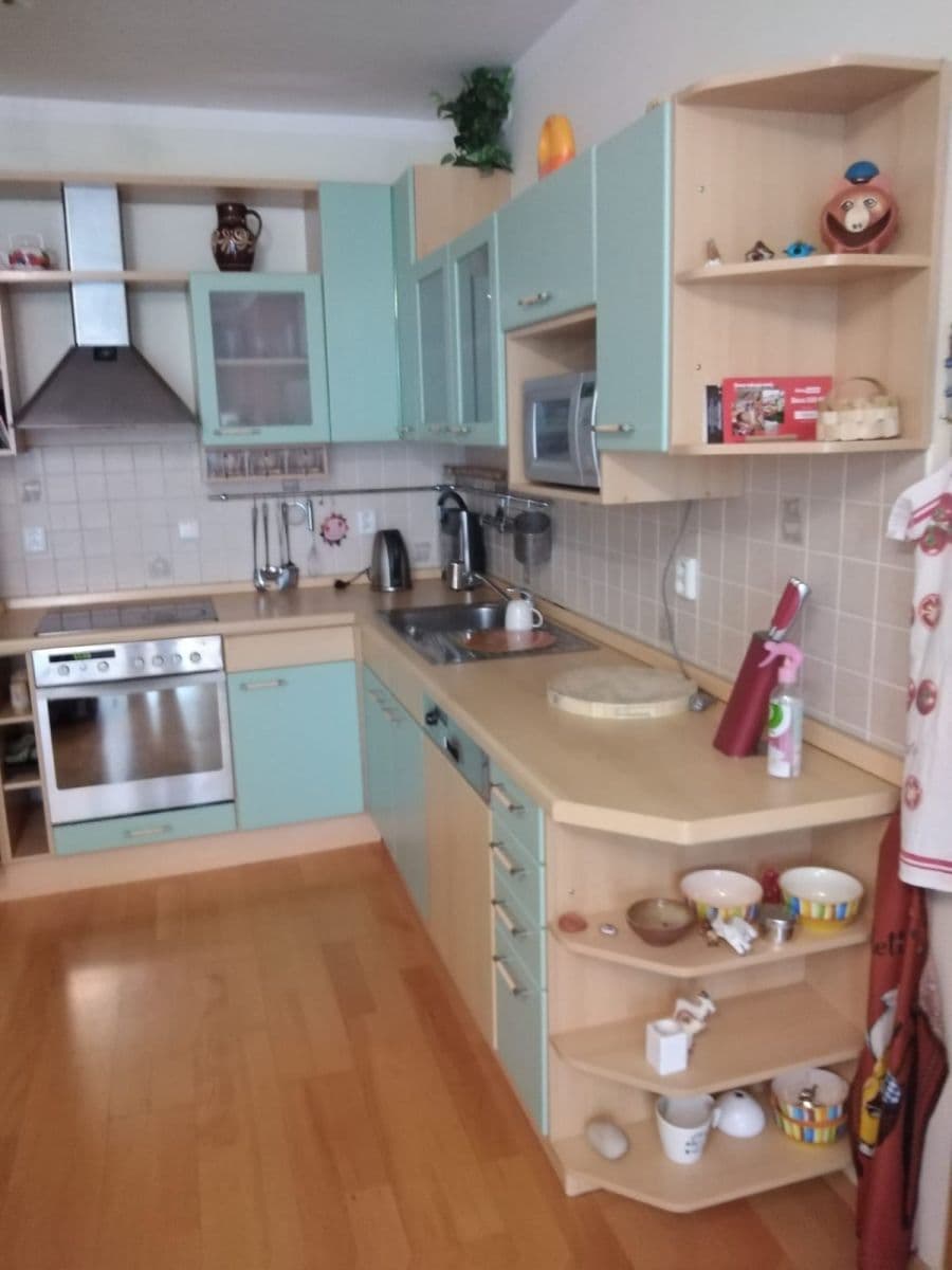 1 bedroom with open-plan kitchen flat to rent, 49 m², V Zeleném údolí, Prague, Prague 1 bedroom with open-plan kitchen flat to rent, 49 m², V Zeleném údolí, Prague, Prague