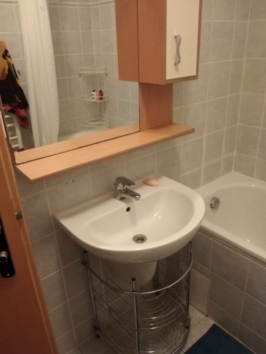 1 bedroom with open-plan kitchen flat to rent, 49 m², V Zeleném údolí, Prague, Prague 1 bedroom with open-plan kitchen flat to rent, 49 m², V Zeleném údolí, Prague, Prague