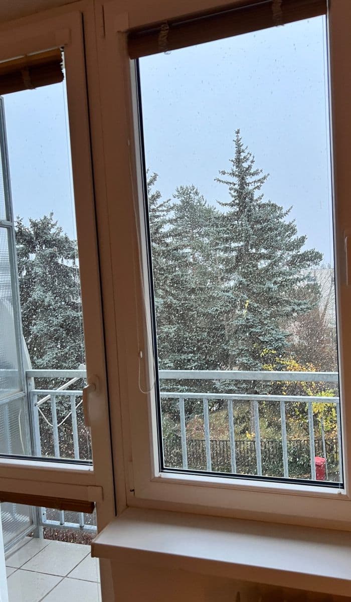 2 bedroom flat to rent, 53 m², Na Míčánce, Prague, Prague 2 bedroom flat to rent, 53 m², Na Míčánce, Prague, Prague