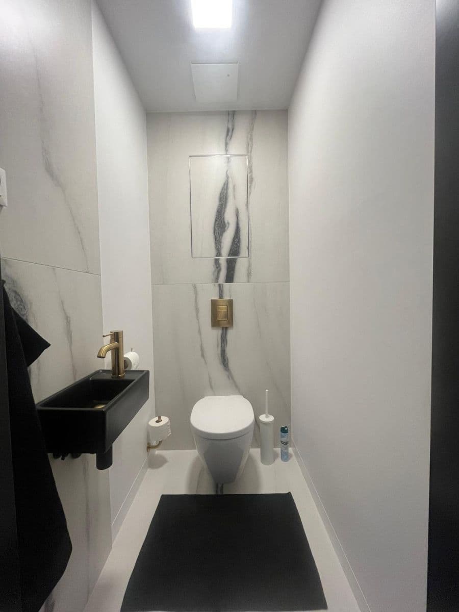 1 bedroom with open-plan kitchen flat to rent, 56 m², V Mezihoří, Prague, Prague 1 bedroom with open-plan kitchen flat to rent, 56 m², V Mezihoří, Prague, Prague