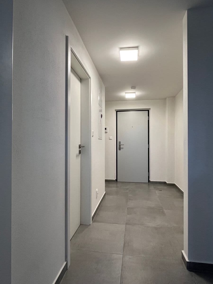 1 bedroom with open-plan kitchen flat to rent, 55 m², Papírnická, Plzeň, Plzeňský Region 1 bedroom with open-plan kitchen flat to rent, 55 m², Papírnická, Plzeň, Plzeňský Region