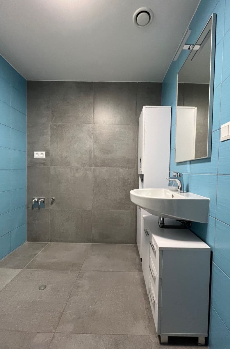 1 bedroom with open-plan kitchen flat to rent, 55 m², Papírnická, Plzeň, Plzeňský Region 1 bedroom with open-plan kitchen flat to rent, 55 m², Papírnická, Plzeň, Plzeňský Region