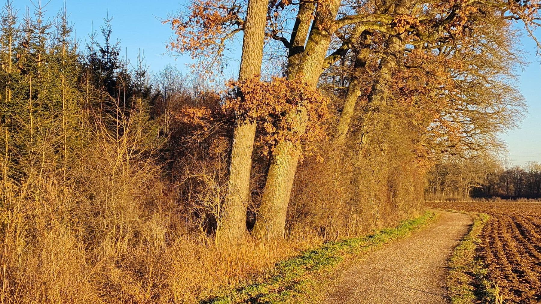 house for sale, 97 m², Friedrich-Fröbel-Str. 66, Riemerling/Ottobrunn, Bavaria house for sale, 97 m², Friedrich-Fröbel-Str. 66, Riemerling/Ottobrunn, Bavaria