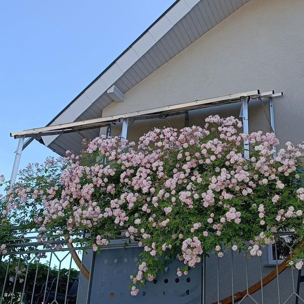 house for sale, 173 m², Ihringen, Baden-Württemberg house for sale, 173 m², Ihringen, Baden-Württemberg