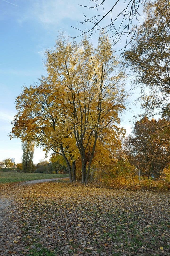 2 bedroom flat for sale, 62 m², Helmut-Lederer-Str. 48, Erlangen, Bavaria 2 bedroom flat for sale, 62 m², Helmut-Lederer-Str. 48, Erlangen, Bavaria