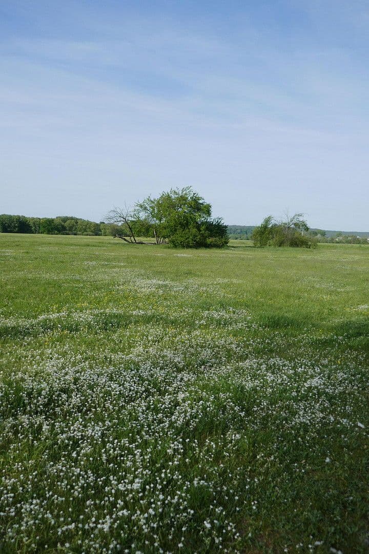 2 bedroom flat for sale, 62 m², Helmut-Lederer-Str. 48, Erlangen, Bavaria 2 bedroom flat for sale, 62 m², Helmut-Lederer-Str. 48, Erlangen, Bavaria