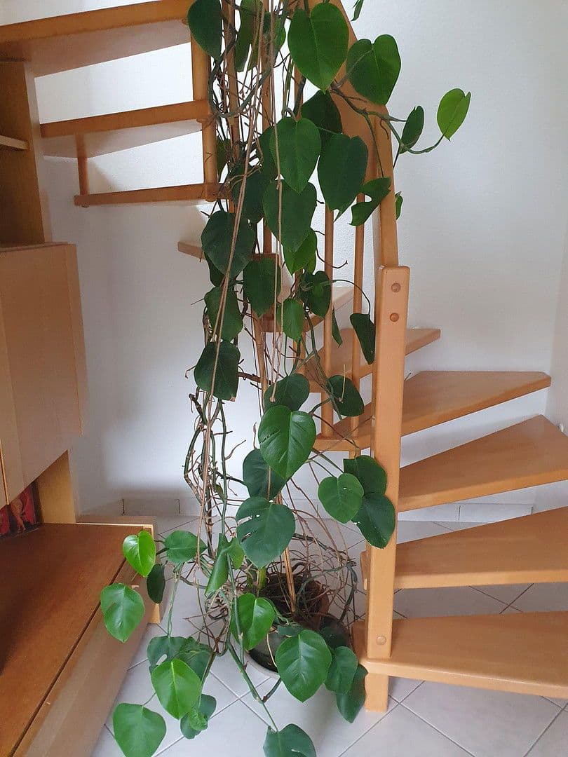 4 bedroom flat for sale, 100 m², Bad Herrenalb, Baden-Württemberg 4 bedroom flat for sale, 100 m², Bad Herrenalb, Baden-Württemberg