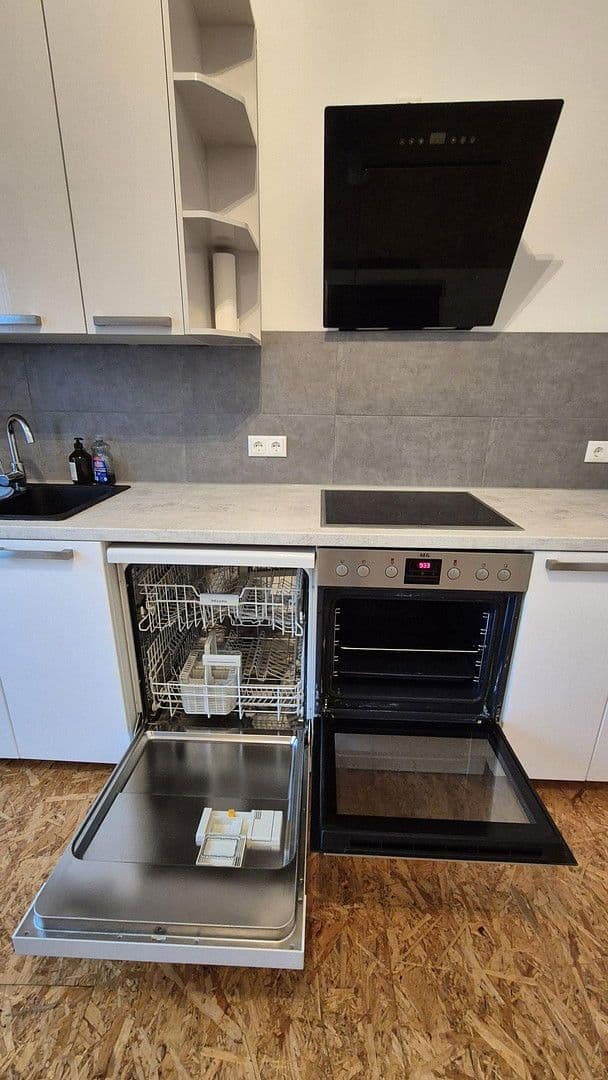 2 bedroom with open-plan kitchen flat to rent, 105 m², Worms, Rhineland-Palatinate 2 bedroom with open-plan kitchen flat to rent, 105 m², Worms, Rhineland-Palatinate