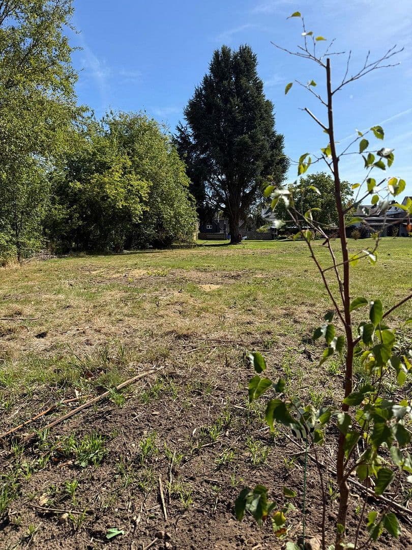 house for sale, 145 m², Bornheim, North Rhine-Westphalia house for sale, 145 m², Bornheim, North Rhine-Westphalia