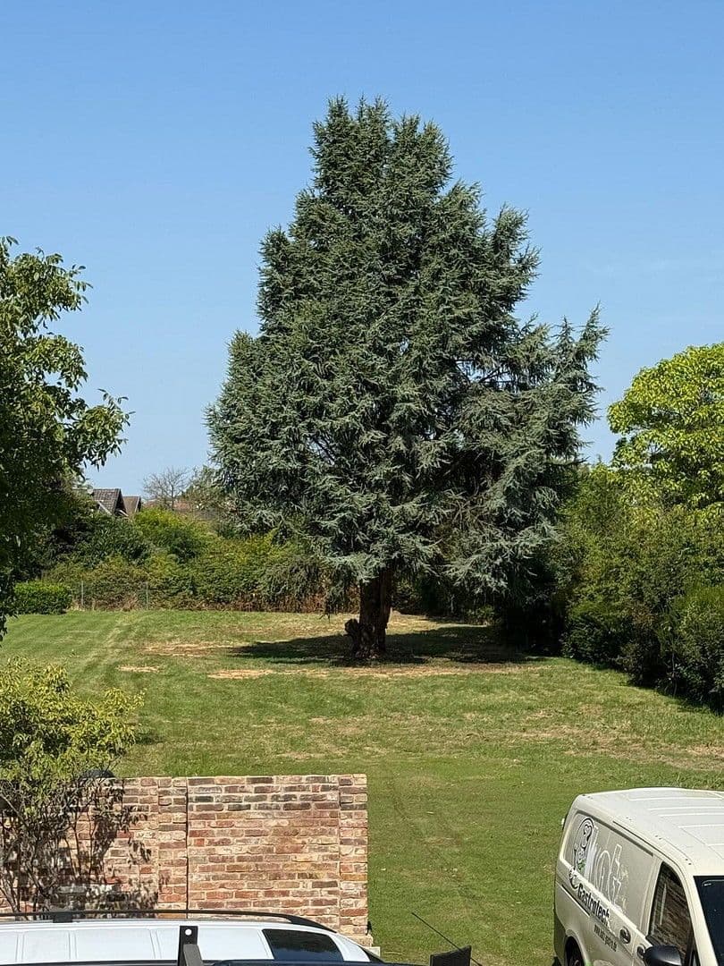 house for sale, 145 m², Bornheim, North Rhine-Westphalia house for sale, 145 m², Bornheim, North Rhine-Westphalia