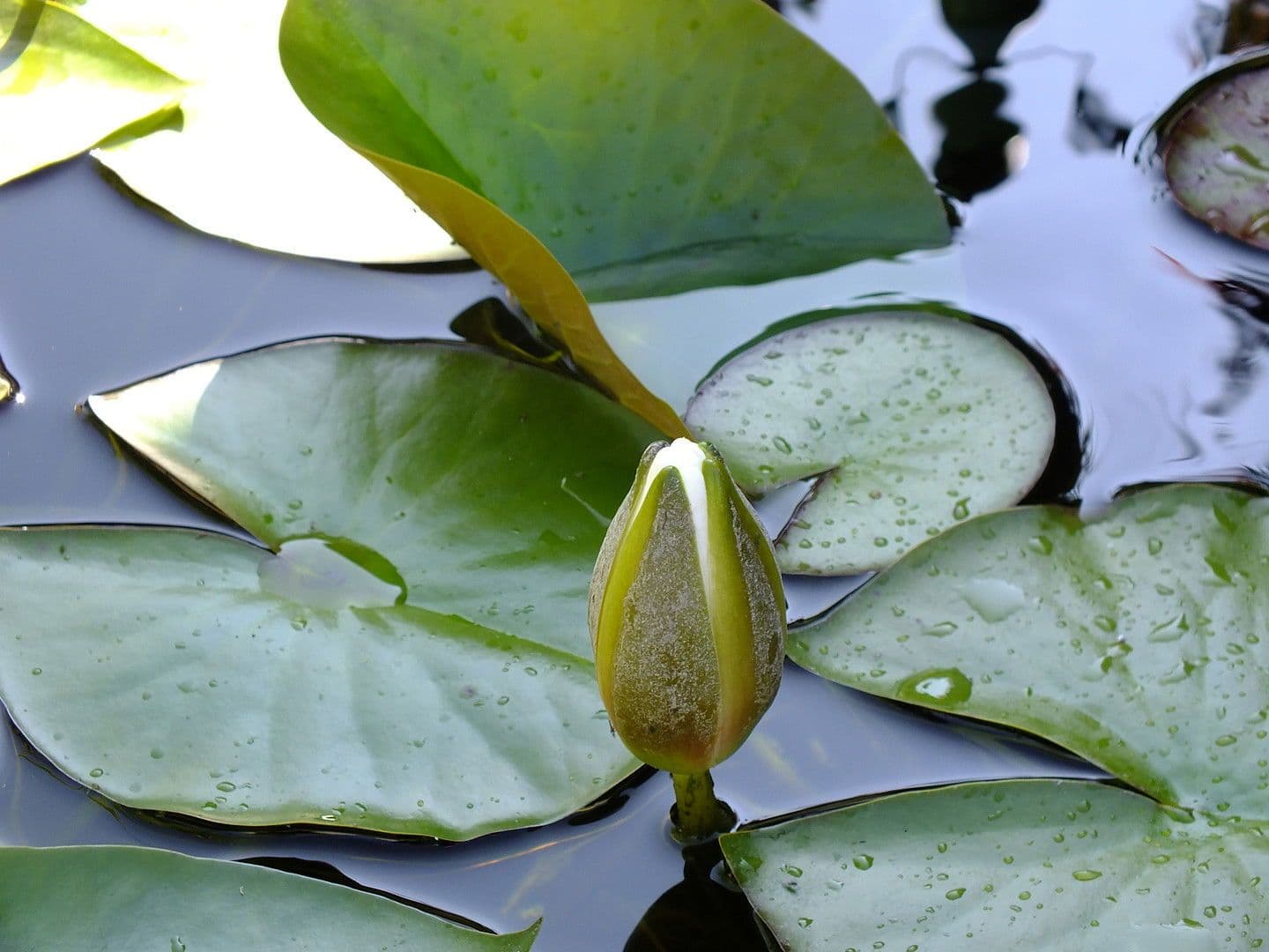 house for sale, 110 m², Nordhalben, Bavaria house for sale, 110 m², Nordhalben, Bavaria