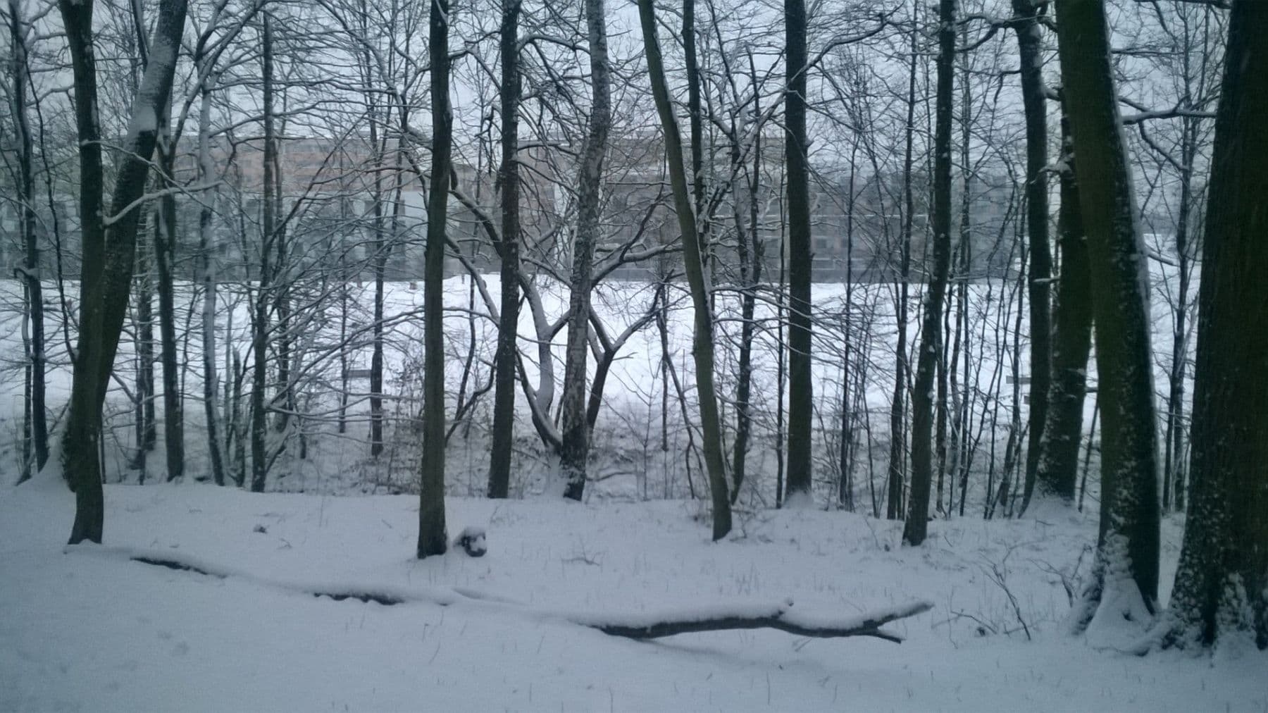 3 bedroom with open-plan kitchen flat for sale, 115 m², Vrbovecká, Brno, Jihomoravský Region 3 bedroom with open-plan kitchen flat for sale, 115 m², Vrbovecká, Brno, Jihomoravský Region