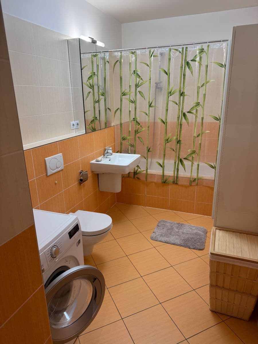 1 bedroom with open-plan kitchen flat to rent, 65 m², Kryšpínova, Prague, Prague 1 bedroom with open-plan kitchen flat to rent, 65 m², Kryšpínova, Prague, Prague