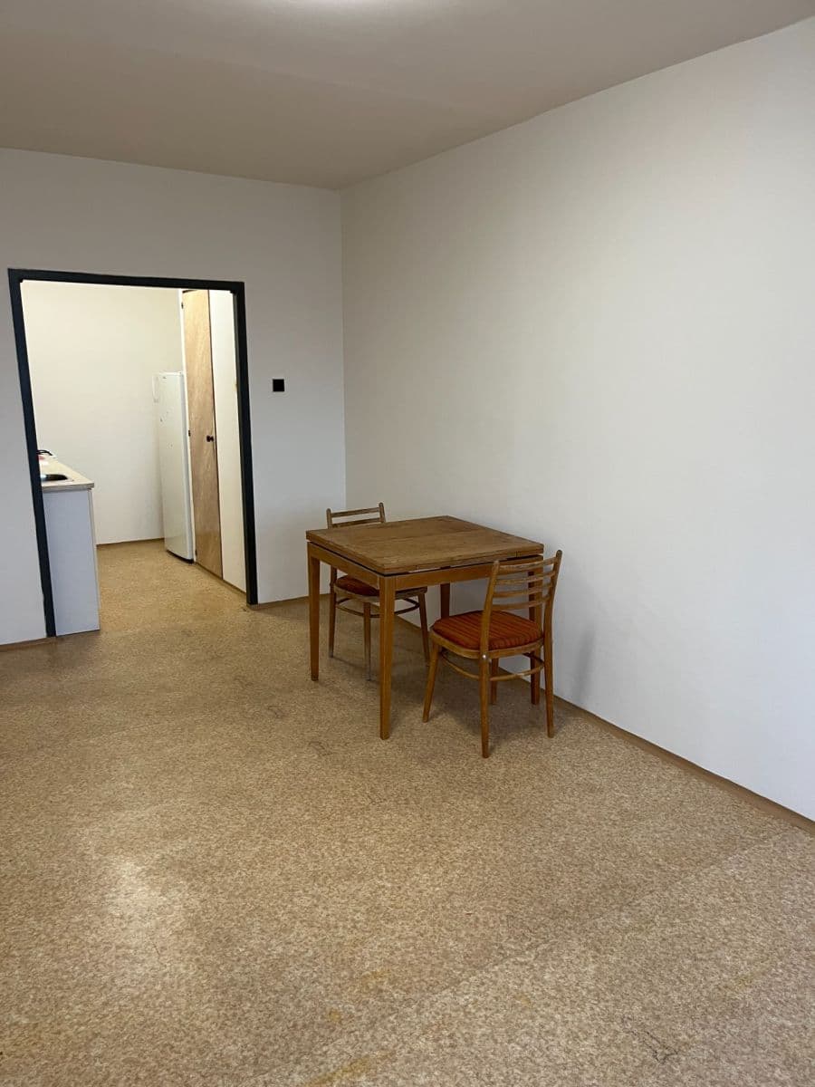 1 bedroom with open-plan kitchen flat to rent, 49 m², Anny Drabíkové, Prague, Prague 1 bedroom with open-plan kitchen flat to rent, 49 m², Anny Drabíkové, Prague, Prague