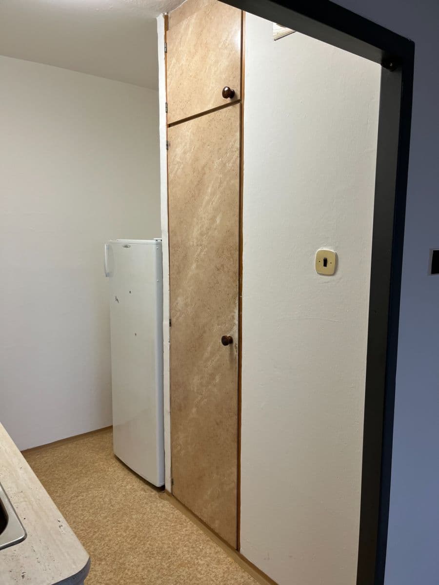 1 bedroom with open-plan kitchen flat to rent, 49 m², Anny Drabíkové, Prague, Prague 1 bedroom with open-plan kitchen flat to rent, 49 m², Anny Drabíkové, Prague, Prague