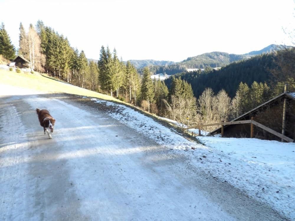 house for sale, 107 m², Stanz im Mürztal, Styria house for sale, 107 m², Stanz im Mürztal, Styria