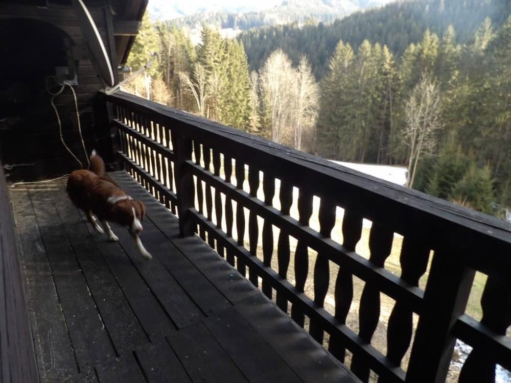 house for sale, 107 m², Stanz im Mürztal, Styria house for sale, 107 m², Stanz im Mürztal, Styria