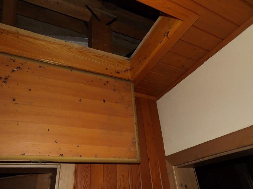 house for sale, 107 m², Stanz im Mürztal, Styria house for sale, 107 m², Stanz im Mürztal, Styria