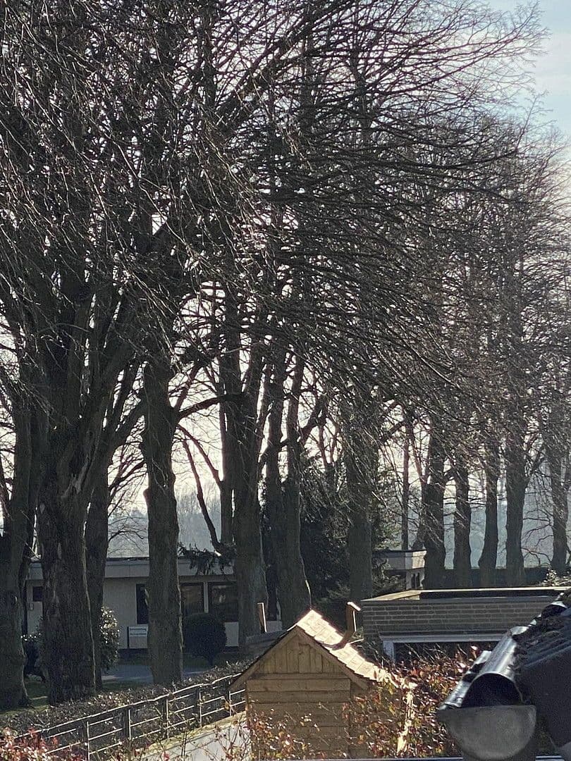 house to rent, 157 m², Düsseldorf, North Rhine-Westphalia house to rent, 157 m², Düsseldorf, North Rhine-Westphalia