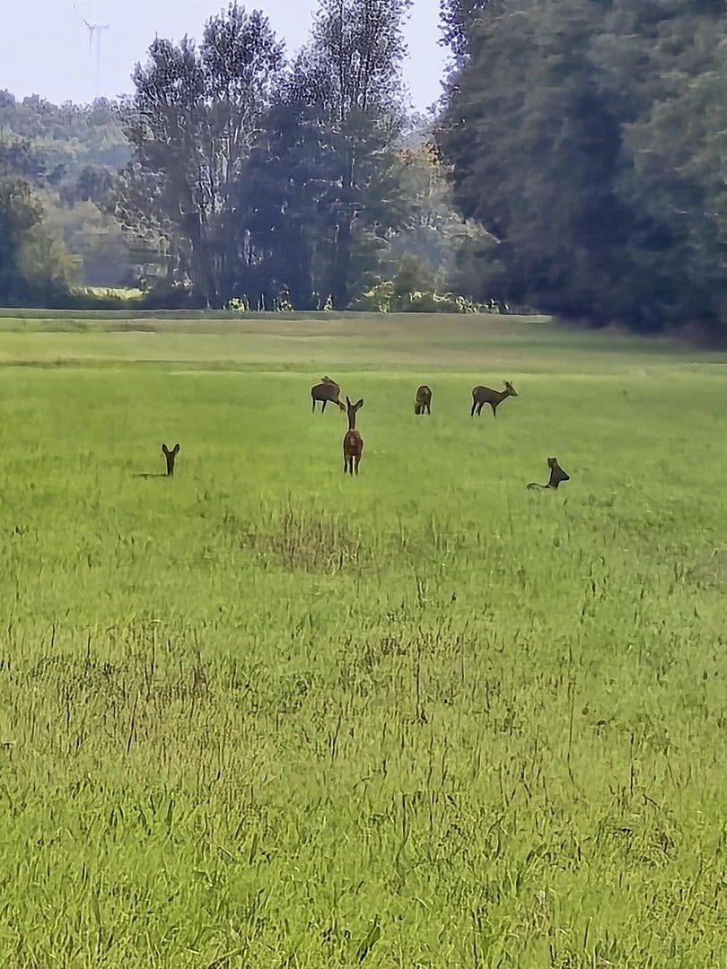 house to rent, 134 m², Elbuferstraße 51, Tespe, Lower Saxony house to rent, 134 m², Elbuferstraße 51, Tespe, Lower Saxony