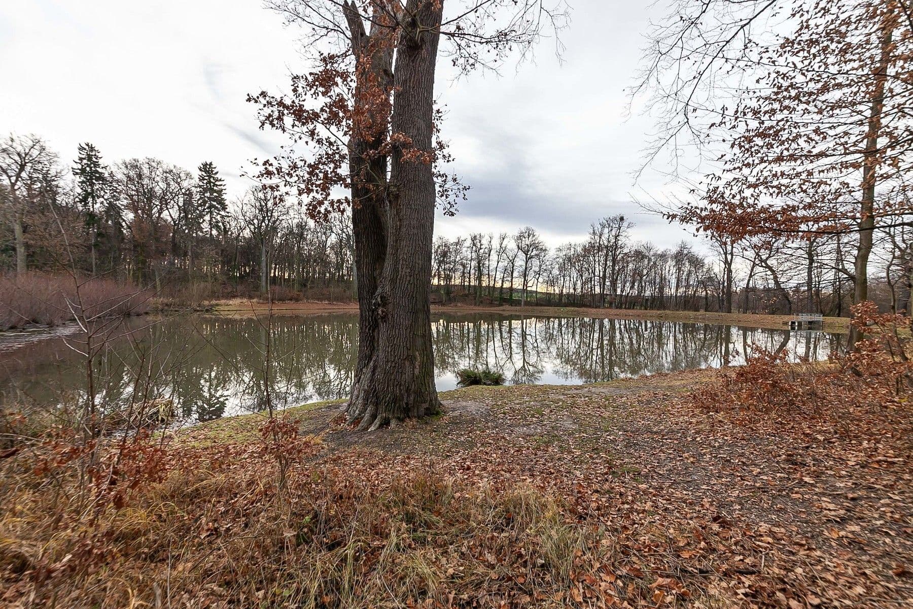 house for sale, 100 m², Pod Chaloupky, Zásmuky, Středočeský Region house for sale, 100 m², Pod Chaloupky, Zásmuky, Středočeský Region