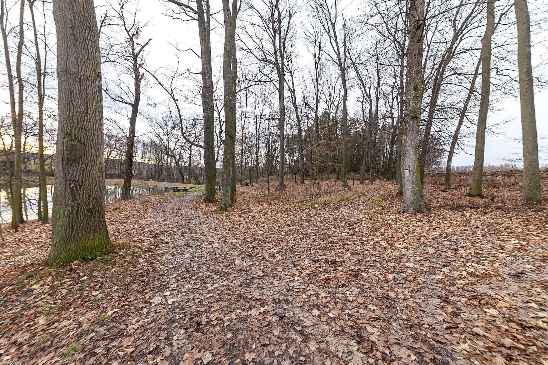 house for sale, 100 m², Pod Chaloupky, Zásmuky, Středočeský Region house for sale, 100 m², Pod Chaloupky, Zásmuky, Středočeský Region