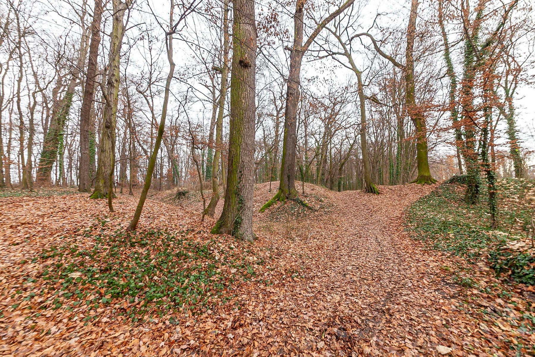 house for sale, 100 m², Pod Chaloupky, Zásmuky, Středočeský Region house for sale, 100 m², Pod Chaloupky, Zásmuky, Středočeský Region