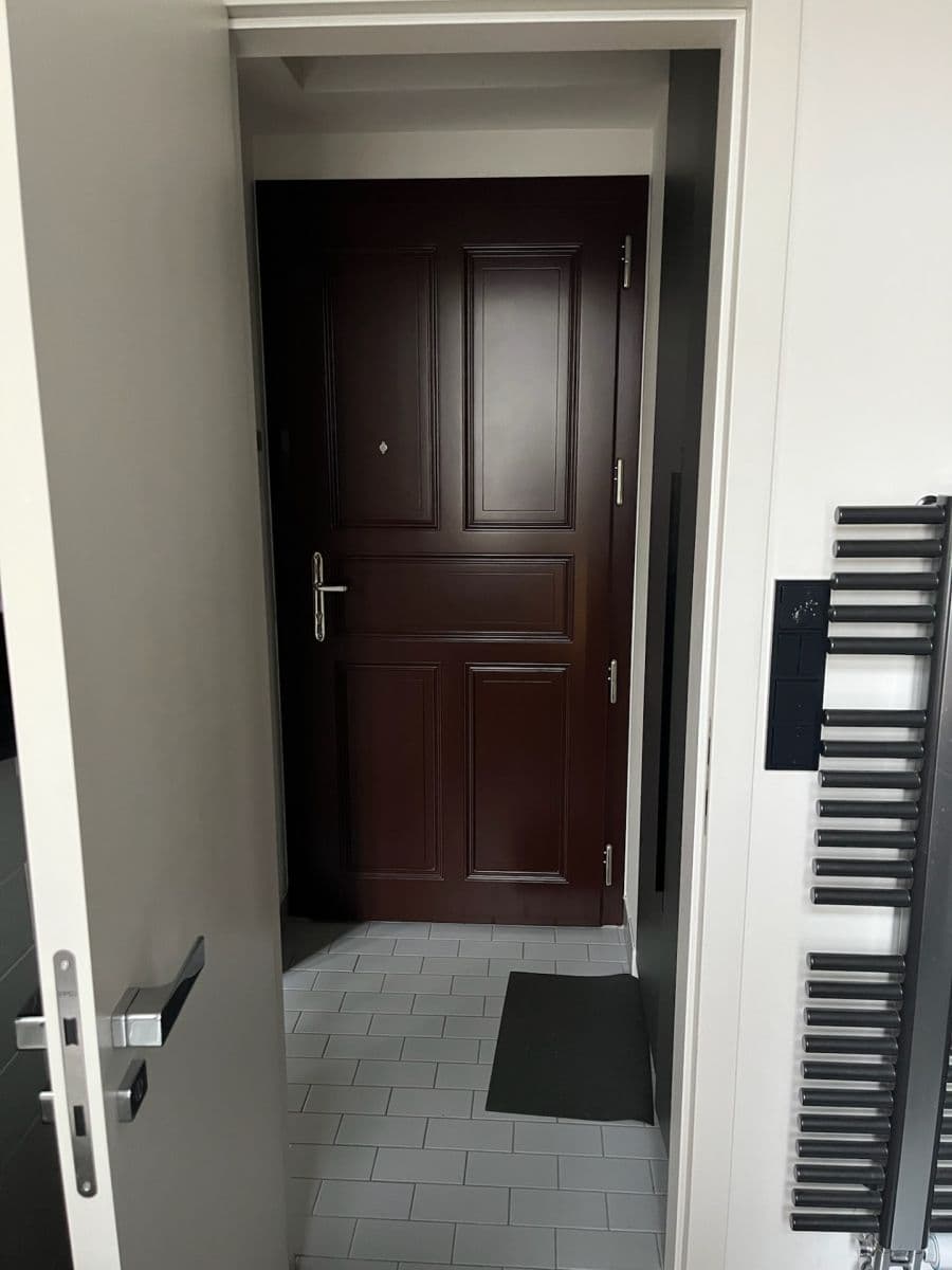 1 bedroom with open-plan kitchen flat to rent, 50 m², Oldřichova, Prague, Prague 1 bedroom with open-plan kitchen flat to rent, 50 m², Oldřichova, Prague, Prague