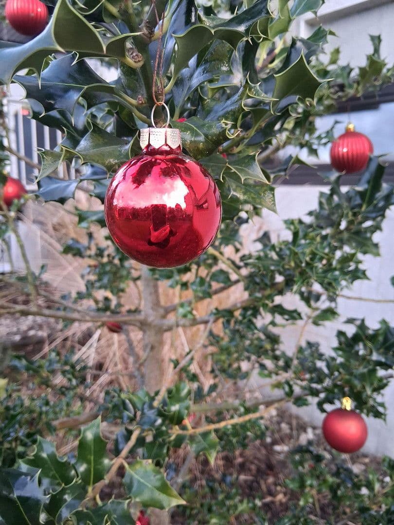 2 bedroom flat for sale, 54 m², Hagen, Hohenlimburg, North Rhine-Westphalia 2 bedroom flat for sale, 54 m², Hagen, Hohenlimburg, North Rhine-Westphalia