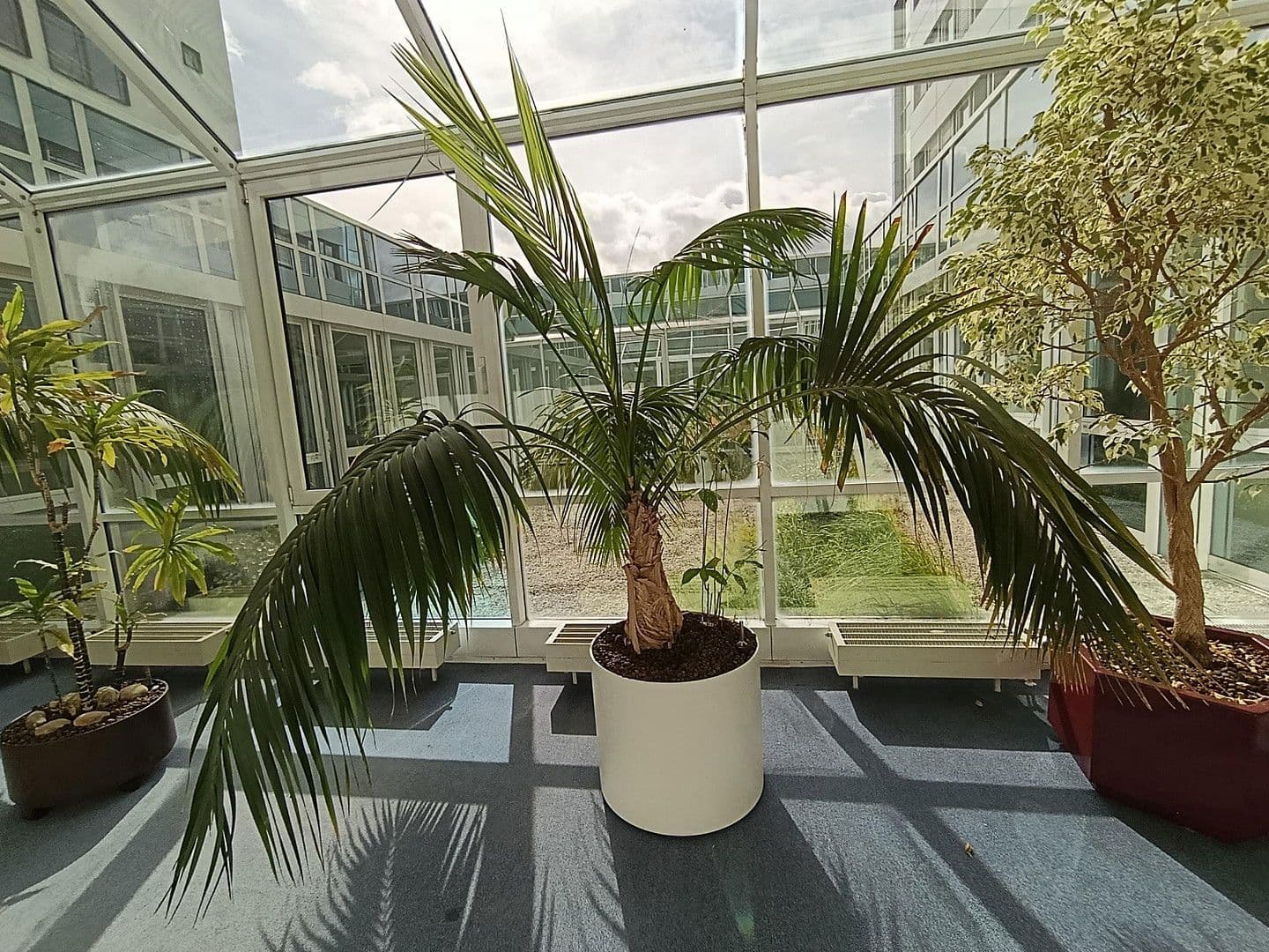 office to rent, 14,285 m², Martin-Behaim Str. 20, Neu-Isenburg, Hesse office to rent, 14,285 m², Martin-Behaim Str. 20, Neu-Isenburg, Hesse