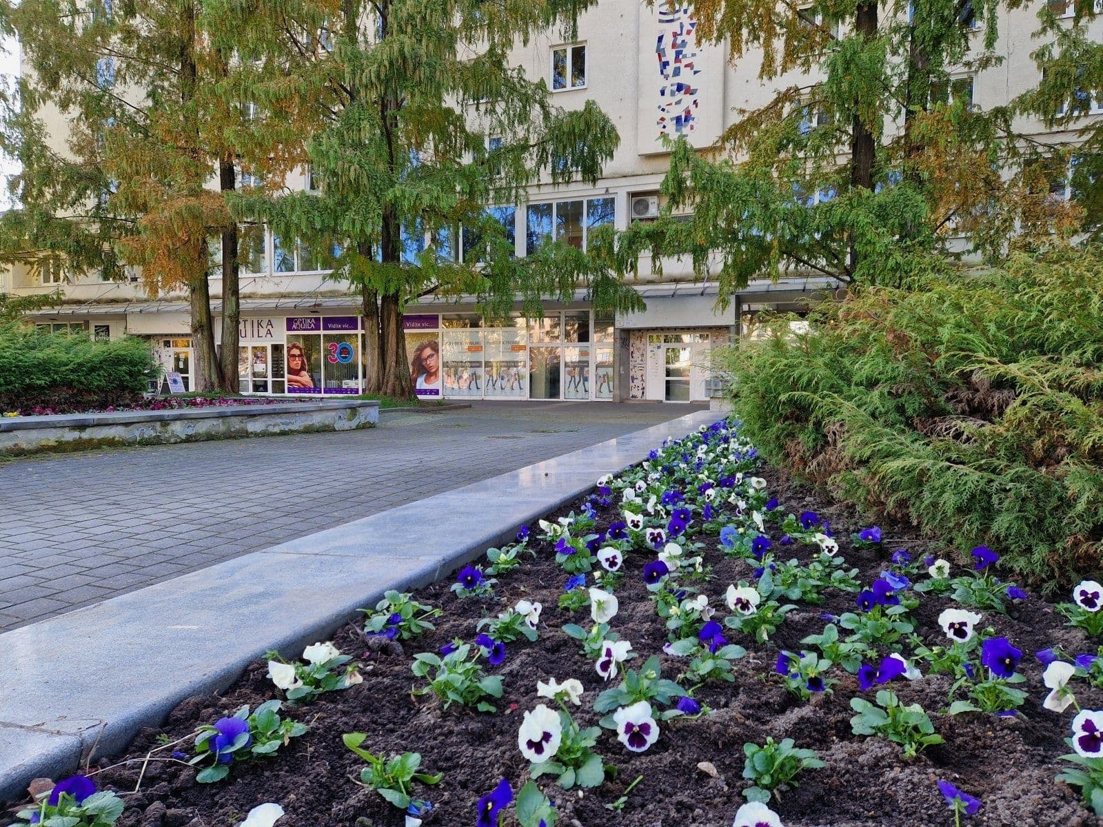 non-residential property to rent, 66 m², nám. Republiky, Havířov, Moravskoslezský Region non-residential property to rent, 66 m², nám. Republiky, Havířov, Moravskoslezský Region