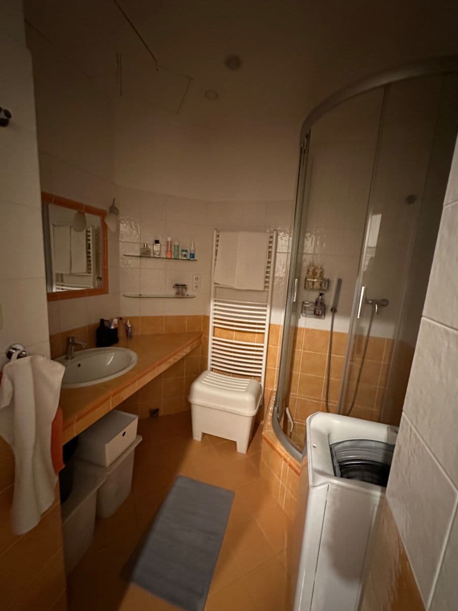 1 bedroom with open-plan kitchen flat to rent, 50 m², Jeseniova, Prague, Prague 1 bedroom with open-plan kitchen flat to rent, 50 m², Jeseniova, Prague, Prague