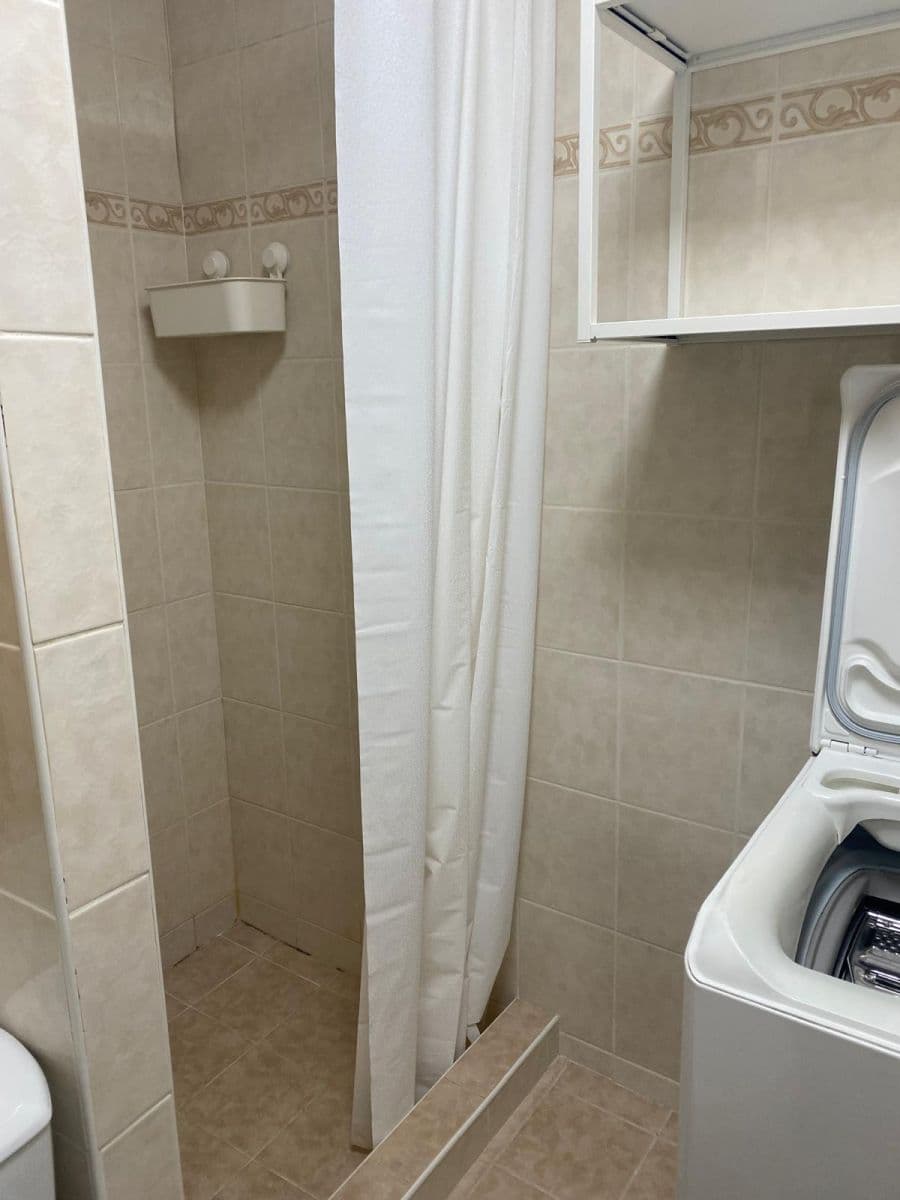 1 bedroom with open-plan kitchen flat to rent, 42 m², Nekvasilova, Prague, Prague 1 bedroom with open-plan kitchen flat to rent, 42 m², Nekvasilova, Prague, Prague