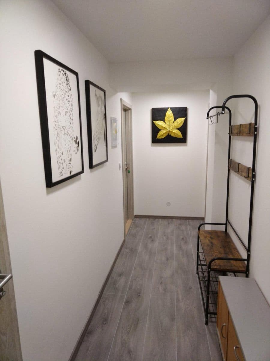 Studio flat to rent, 35 m², Nesměřická, Prague, Prague Studio flat to rent, 35 m², Nesměřická, Prague, Prague