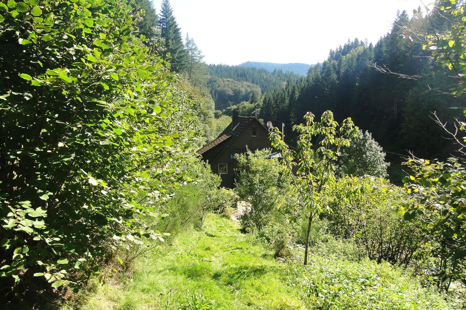 house for sale, 263 m², Wildschapbachstraße 6, Bad Rippoldsau-Schapbach, Baden-Württemberg house for sale, 263 m², Wildschapbachstraße 6, Bad Rippoldsau-Schapbach, Baden-Württemberg