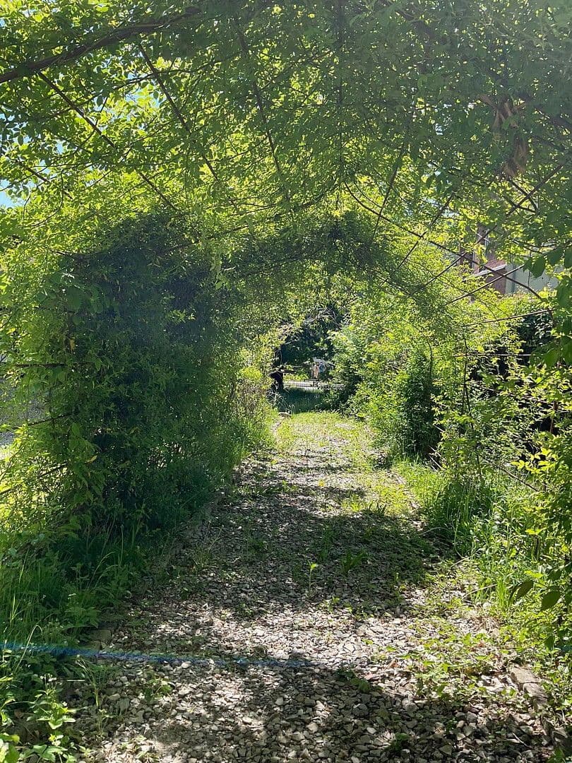 house for sale, 800 m², Bad Karlshafen, Hesse house for sale, 800 m², Bad Karlshafen, Hesse